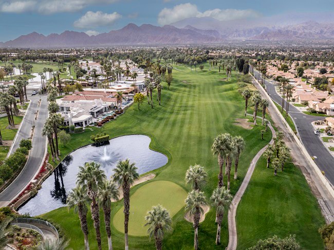 Tee Off in Paradise at the Palm Course